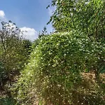 Casa Da Penela Séjour à la campagne *