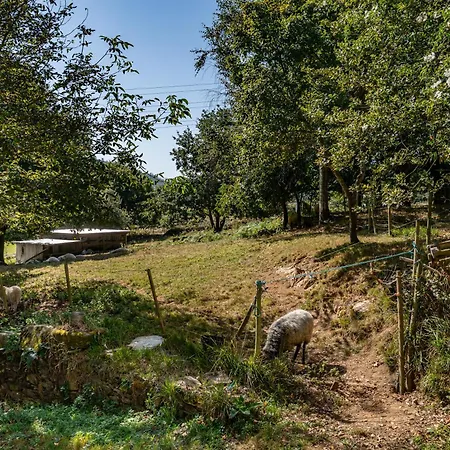 Casa Da Penela Mondoñedo