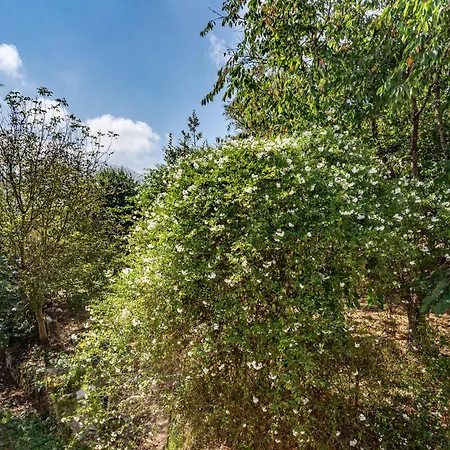 Casa Da Penela 乡村民宿