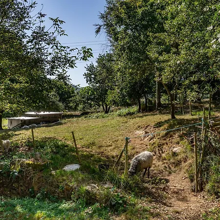 Lantställe Casa Da Penela